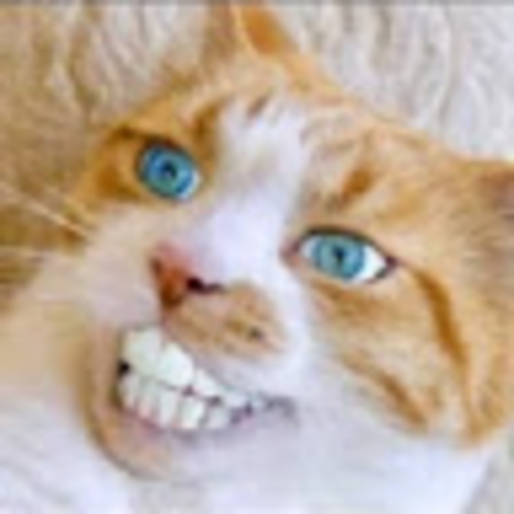 Meet your Posher, Marcus